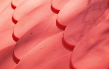 Ryther plastic roof costs