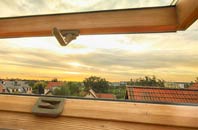 rated Ryther roof window companies